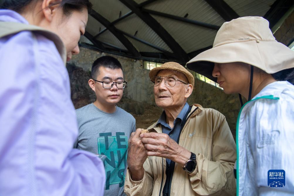 大富翁水果机单机版